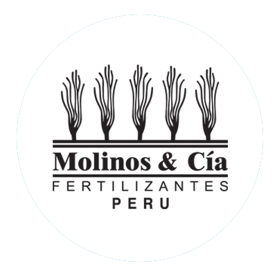 logo proy molinos sin borde